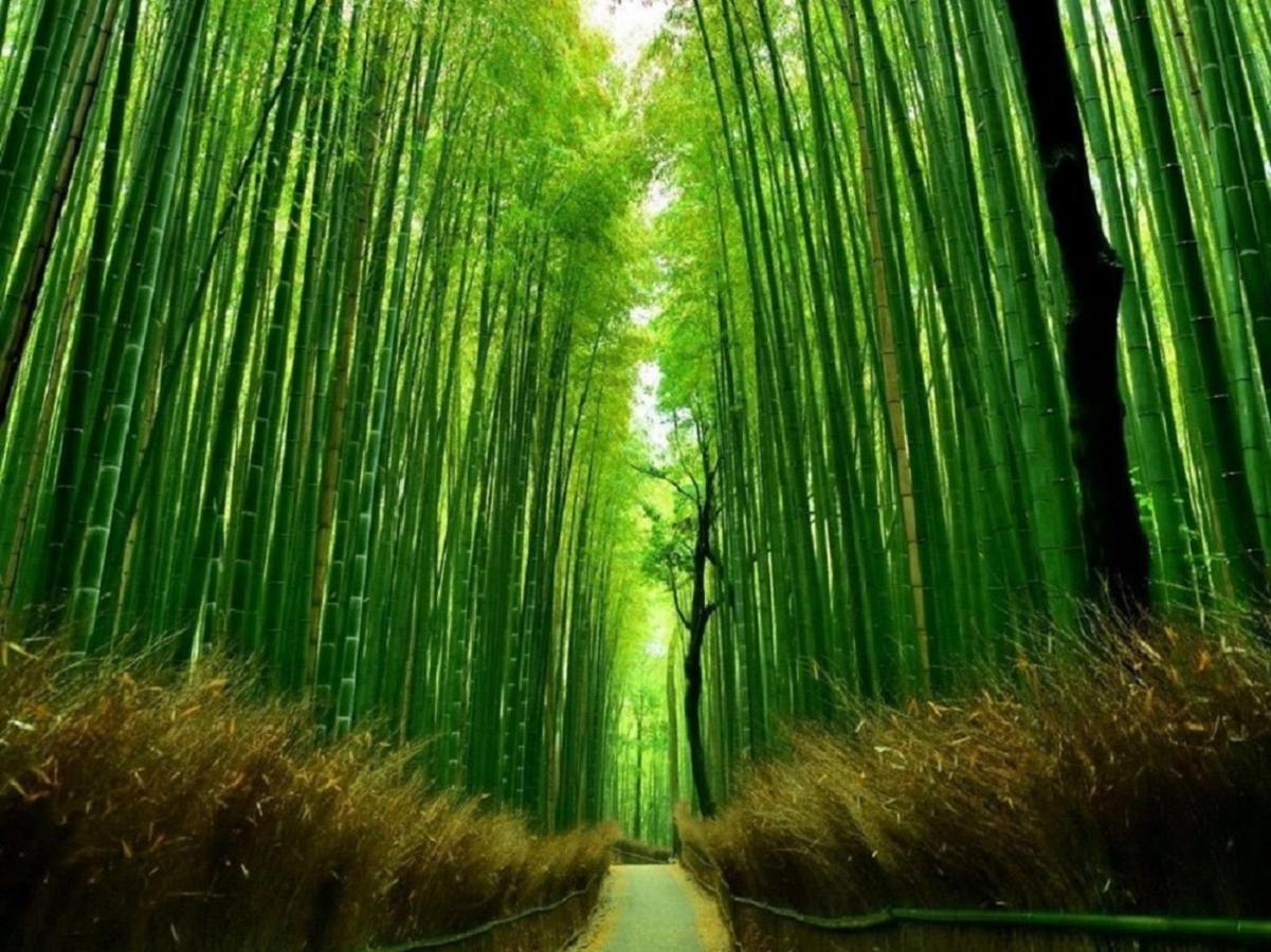 鴨川 栄の屋 Kamo River Machiya Halo House Kiotó Kültér fotó
